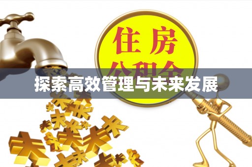 甘孜探索高效管理与未来发展
