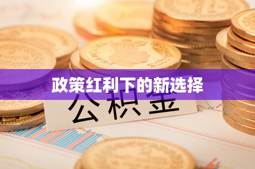 甘孜政策红利下的新选择
