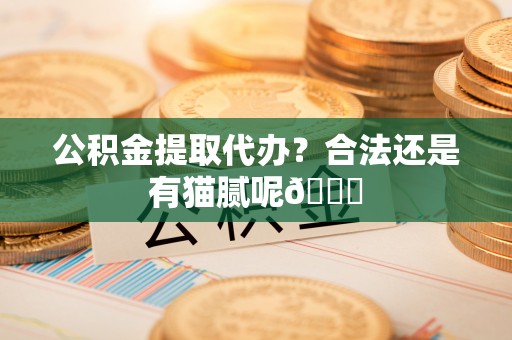 甘孜公积金提取代办？合法还是有猫腻呢😏