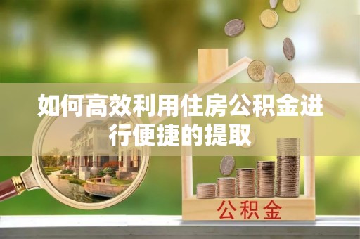 甘孜如何高效利用住房公积金进行便捷的提取
