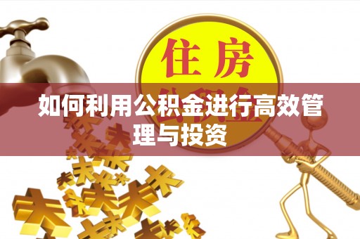 甘孜如何利用公积金进行高效管理与投资